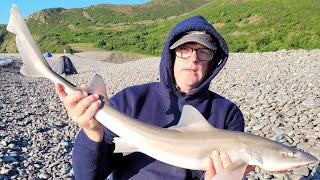 Minehead Festival 2024 Fishing Competition Bristol Channel [upl. by Nevar]