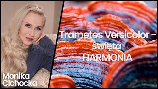 159 Trametes Versicolor  Święta HARMONIA Wrośniak Różnobarwny Święte Grzyby  Monika Cichocka [upl. by Errehs]