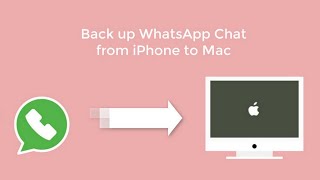 How to Back up WhatsApp Chat from iPhone to Mac [upl. by Ide]