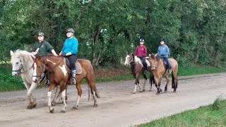 Rc het fjordenpaard Oktoberweekendje 2023 [upl. by Waxler]