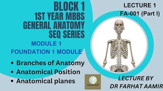 Branches of AnatomyAnatomical PositionAnatomical Planes [upl. by Loyce]