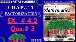 Math Grade 9 Chapter 4  CANTAB Publisher Exercise 42 Qus3 Complete NCP2024 [upl. by Decima]