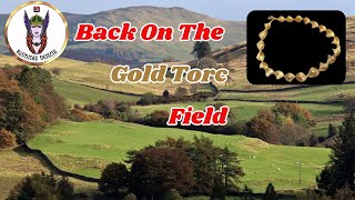 Torc Field RevisitedMetal Detecting Cumbria UK [upl. by Aelam]