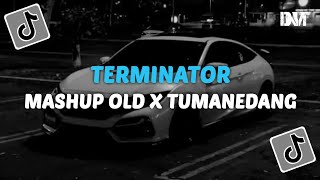 DJ TERMINATOR X MASHUP OLD X TUMANEDANG VIRAL TIKTOK [upl. by Ck]