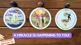 A Miracle is Happening to You  Timeless Reading [upl. by Kcoj]