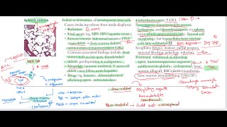 Aplastic anemia haematology 46 First Aid USMLE Step 1 in UrduHindi [upl. by Eiramnwad]