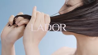 lador wonder balm  เรื่องผม ไว้ใจ ลาดอร์ [upl. by Llerod]