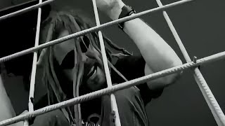 In Flames  Touch Of Red Official Music Video [upl. by Ael484]