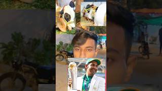 Sarfaraz Ahmed Ki Cow 😳😱sarfarazahmed cow lovers qurbani2024 trending ytshorts viral [upl. by Eramat]