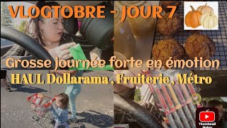 Jai un accident dauto   Haul Dollo FruiterieMétro   VLOGTOBRE  JOUR 7🎃 [upl. by Vickey69]