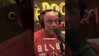 Rogan LOSES IT Over Trump Shooter [upl. by Rima743]