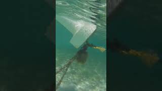 Castaway Cay Snorkel with GoPro Disney Cruise Line Disney Fantasy [upl. by Hendon]