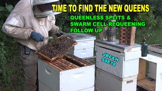 Queenless Split Queen Right Checks S8E18 beekeeping [upl. by Airotnes]