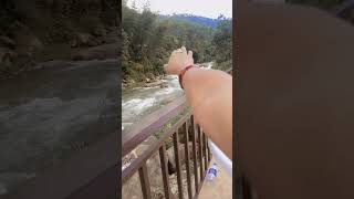 Bamboo Resort Bijanbari ✨🦋  অপূর্ব দৃশ্য  🥰travelling darjeeling viralvideos [upl. by Ferguson]