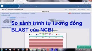 hướng dẫn so sánh trình tự tương đồng BLAST của NCBI [upl. by Ecaj]