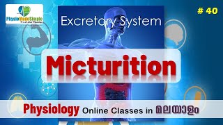 Ep40  Micturition humanphysiology malayalam excretorysystem [upl. by Oirretna]