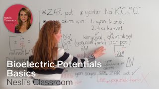 Bioelectric Potentials Basics [upl. by Asehr]