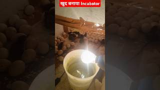 खुद बनाएं हुए Incubator का result देखें incubator chicks KisaanConnection [upl. by Ellesirg]