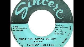 La Shawn Collins  What You Gonna Do Now [upl. by Sirdna]