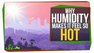 Why Does Humidity Make It Feel Hotter [upl. by Annabell]