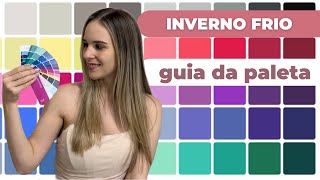 Coloração pessoal paleta INVERNO FRIO como usar make acessórios cabelo etc [upl. by Varian]