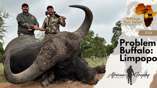 Hunting Problem Buffalo Africa Sun Safaris [upl. by Wiedmann]