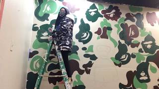 Dolly Bills Bape Wall [upl. by Demmahom]