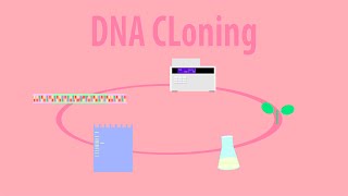 DNA Cloning  Animation of Cloning GFP into a Plant Introduction HD [upl. by Shelburne]