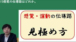 感覚の伝導路（見極め方）【解剖生理学・形態機能学 脊髄神経・伝導路】 [upl. by Dupuy]