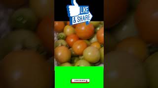 Heres How to Quickly Ripen Tomatoes Indoors [upl. by Salome]