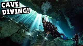 CENOTE DIVING IN MEXICO Coolest Thing Weve Ever Done [upl. by Ahsinut362]