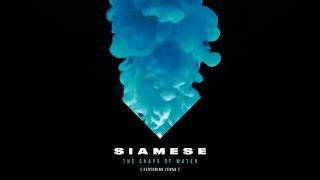 Siamese  The Shape of Water feat ten56 Official Visualizer [upl. by Donica]