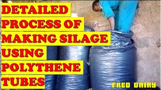 DETAILED PROCESS OF MAKING TUBE SILAGEAll you need to know about silage [upl. by Gurolinick]