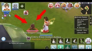 How to find Mandragora Seed  Ragnarok M [upl. by Alexandro136]