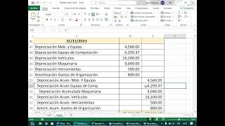 Partidas DepreciacionesCuentas Incobrables [upl. by Gamali]