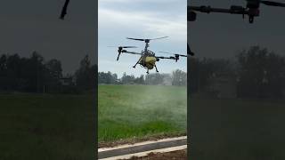 After the herbicide is finished continue spreading fertilizer drone sprayingdrone [upl. by Amlet352]