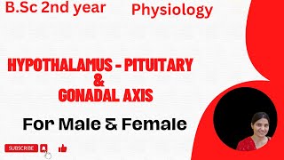 HypothalamusPituitary And Gonadal Axis BSc 2nd YearCore VI Controlling and coordinating System [upl. by Dulciana557]