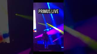 Primus  Wynonas Big Brown Beaver primus music viral beaver live concert bass lesclaypool [upl. by Anauqed]