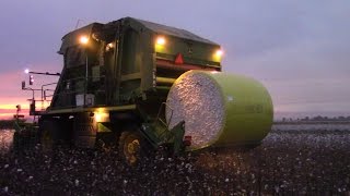 John Deere 7760 Cotton Picker [upl. by Rednijar]