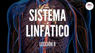 8 SISTEMA LINFÁTICO ESTRUCTURA Y FUNCIÓN DEL SISTEMA CARDIOVASCULAR [upl. by Vashtee]