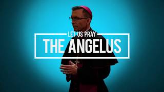 Pray  The Angelus with Bishop Reed [upl. by Haikan]