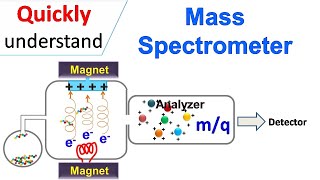 Mass spectrometry [upl. by Adnema]