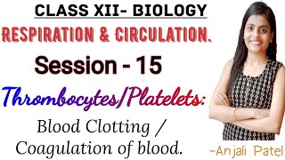 Class XII Biology  Respiration and Circulation  812 Thrombocytes Platelets  Blood clotting [upl. by Margaretta]