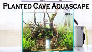 Planted Cave Aquascape Aquarium Setup [upl. by Alexandria998]