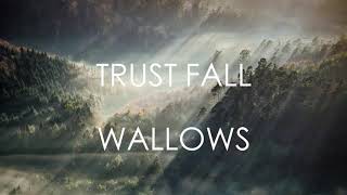 Trust Fall  Wallows LYRICS [upl. by Bergmans]