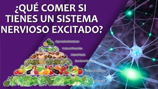 ¿Qué alimentos debes comer si tienes un sistema nervioso excitado EPISODIO 9 [upl. by Frohman]