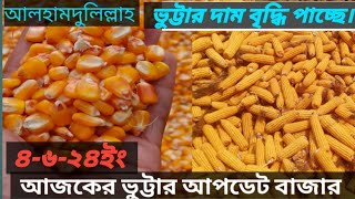 ৪৬২৪ইং আজকের ভুট্টার বাজার। Todays maize price [upl. by Lissner]