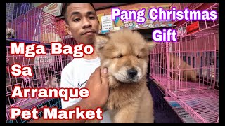 Arranque Pet Market Manila Price Update Dec16 2023 [upl. by Iatnohs]