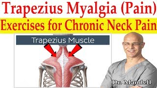 Trapezius Myalgia Caused From Forward Head Posture Best Corrective Exercises  Dr Mandell DC [upl. by Eve938]