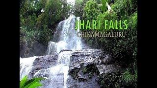 Jhari Falls  ChikmagaluruTourism Places in karnataka [upl. by Enicnarf]